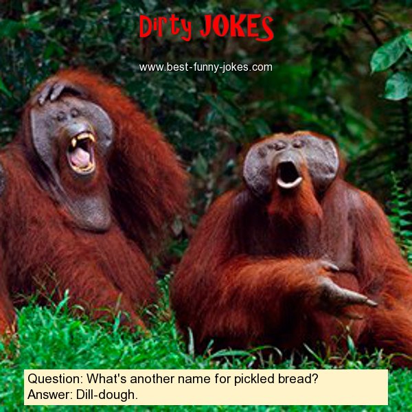 dirty-jokes-question-what-s-ano